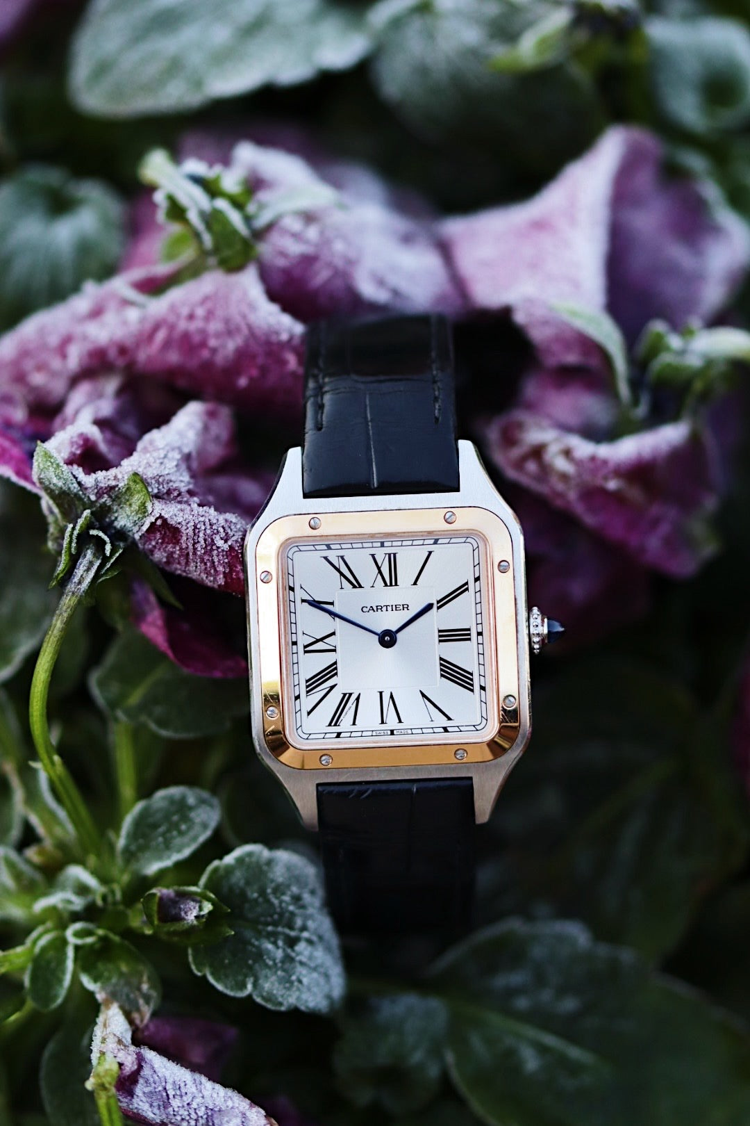 Cartier Santos Dumont, montre W2SA0011 or rose acier