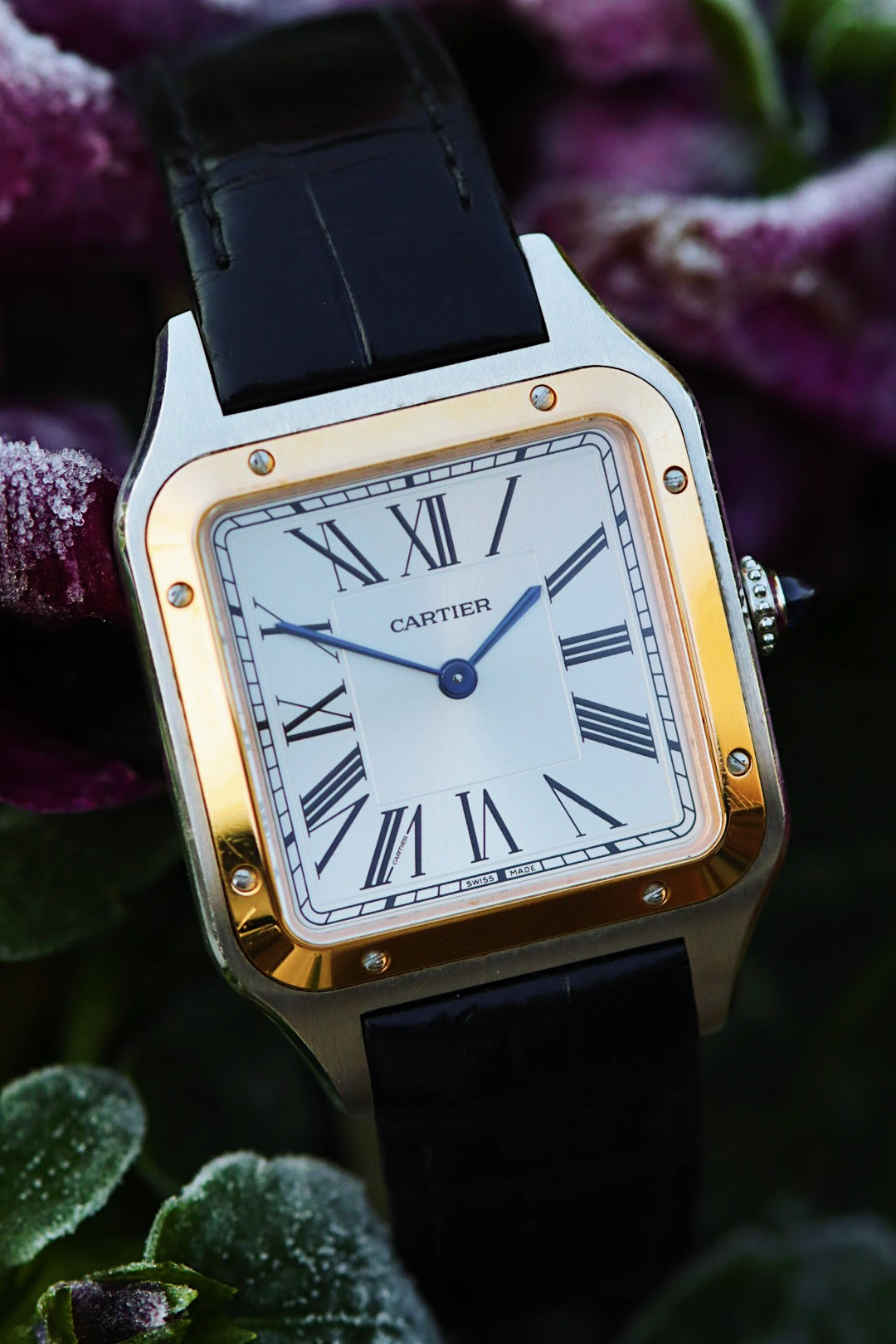 Cartier Santos Dumont, montre W2SA0011 or rose acier