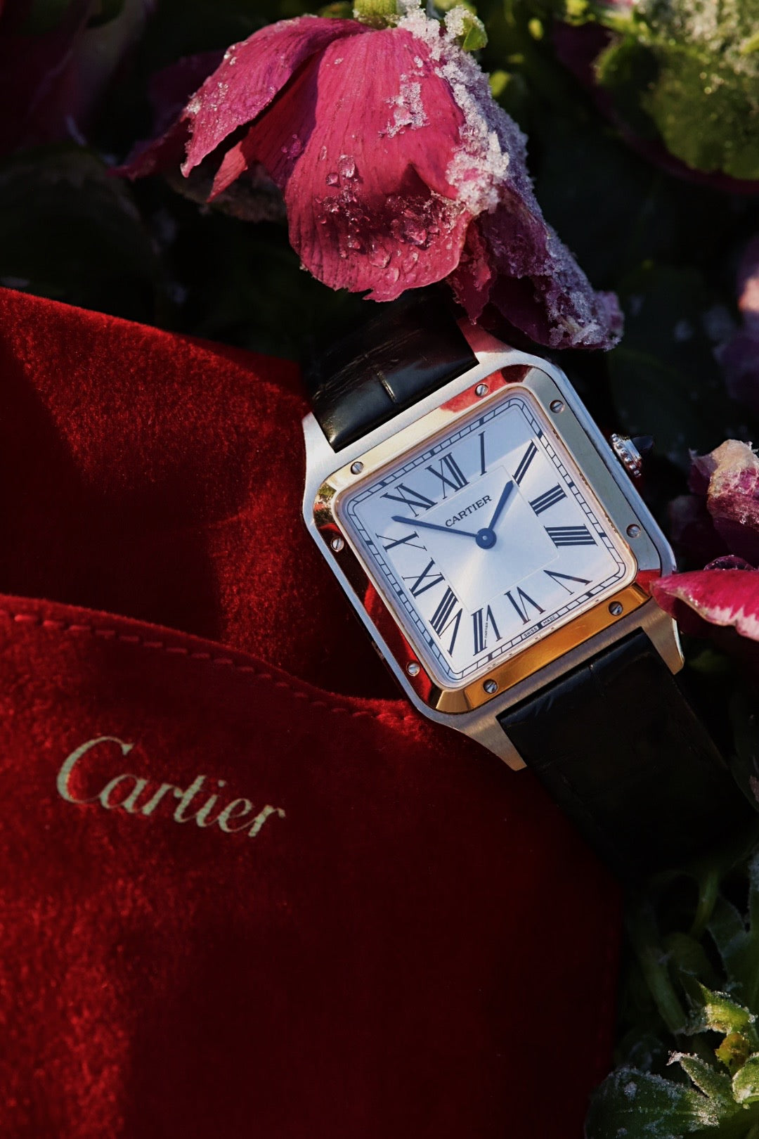 Cartier Santos Dumont, montre W2SA0011 or rose acier