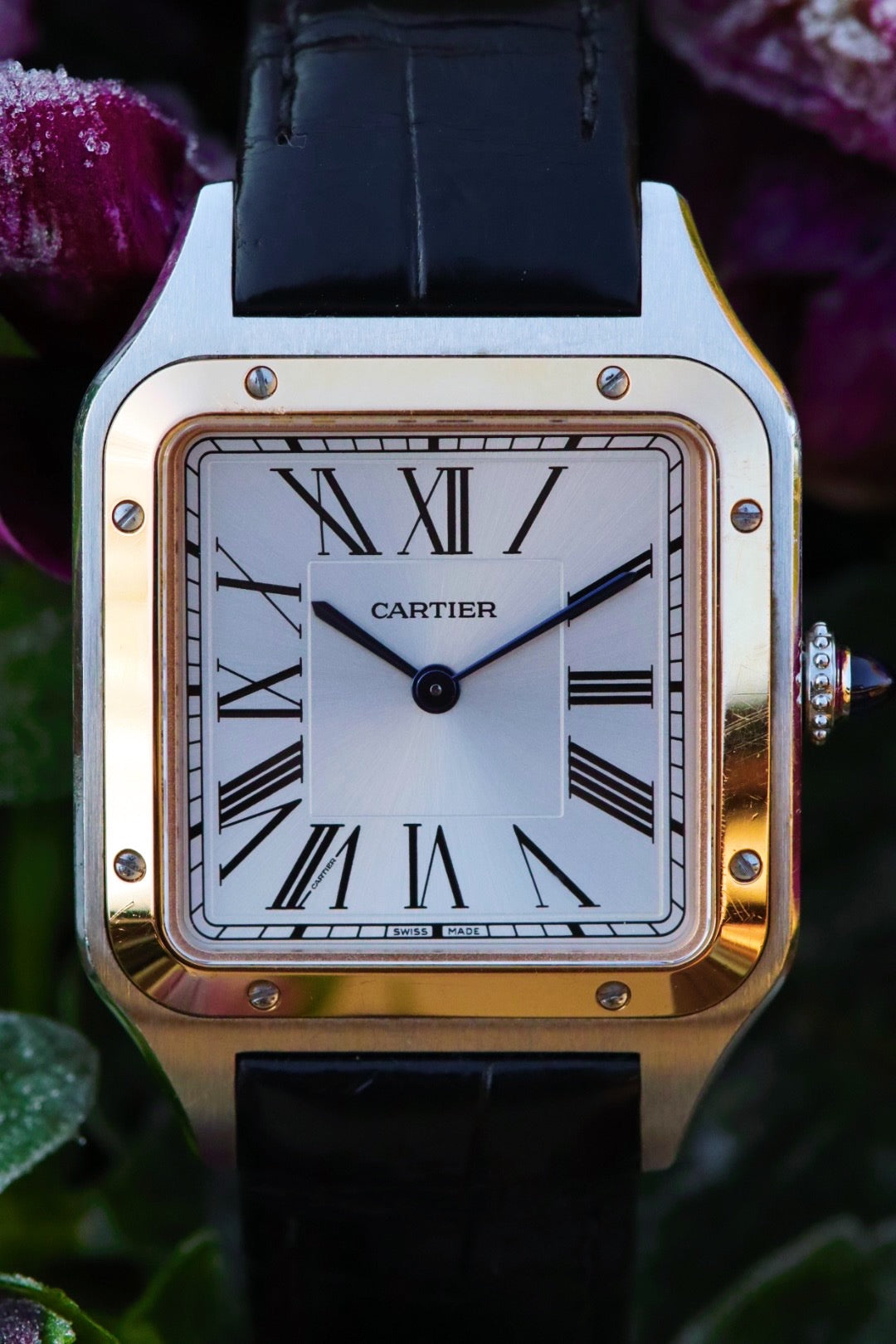 Cartier Santos Dumont, montre W2SA0011 or rose acier